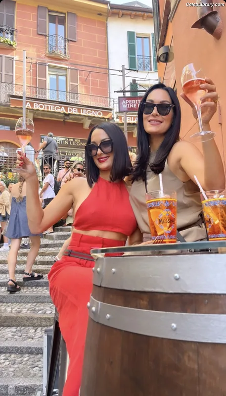 The Bella Twins photo 20 of 1421