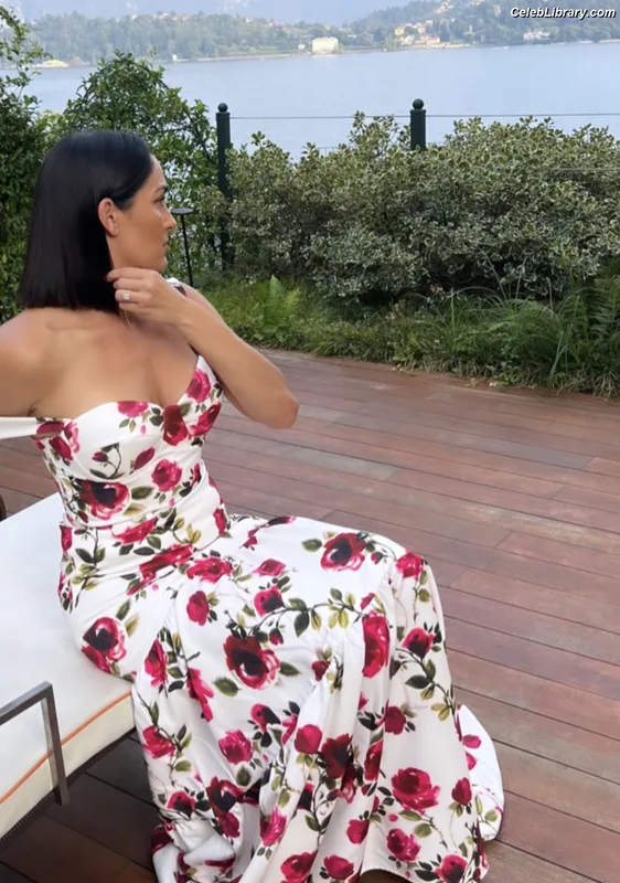 The Bella Twins photo 24 of 1421