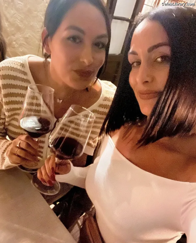 The Bella Twins photo 4 of 1421