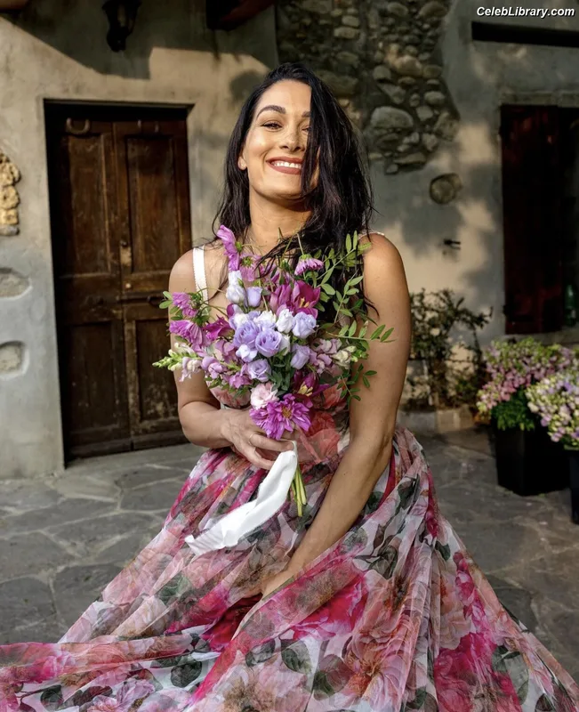 The Bella Twins photo 23 of 1421