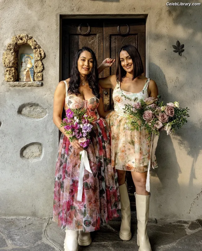 The Bella Twins photo 6 of 1421