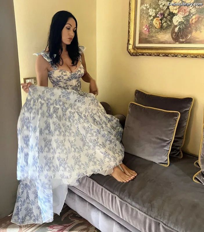 The Bella Twins photo 15 of 1421