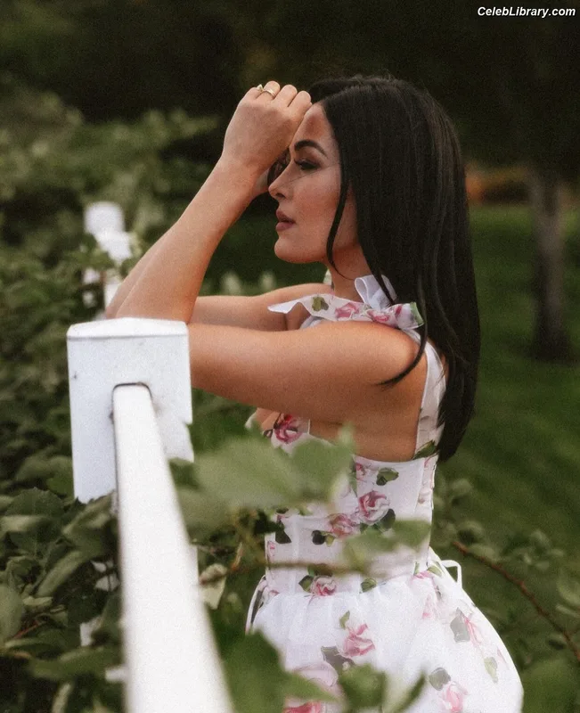 The Bella Twins photo 16 of 1421
