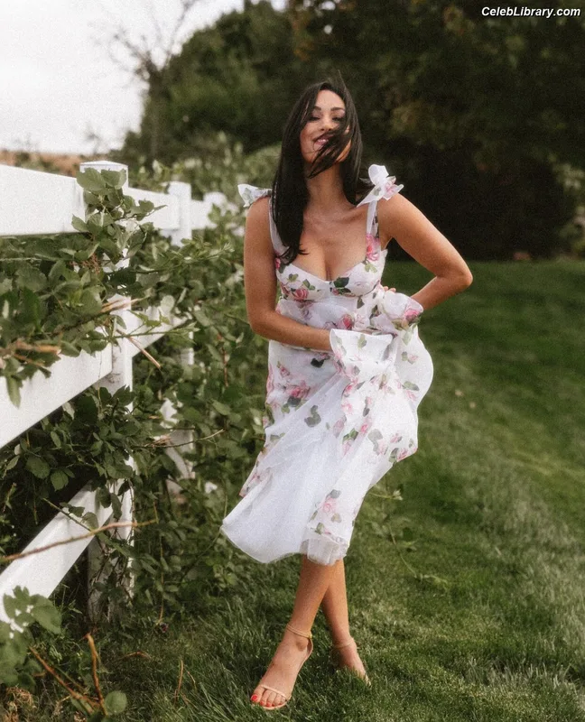 The Bella Twins photo 1 of 1421
