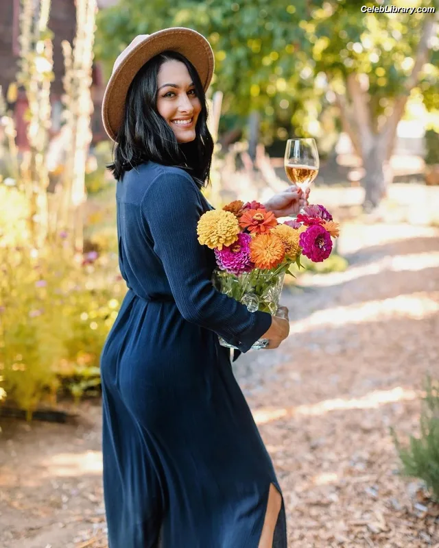 The Bella Twins photo 16 of 1421