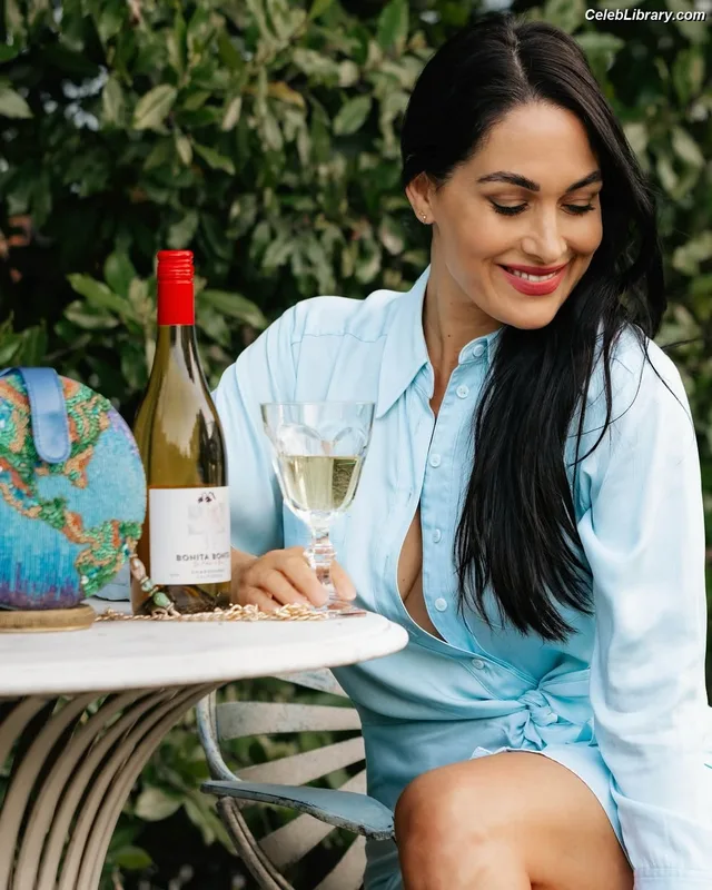 The Bella Twins photo 22 of 1421