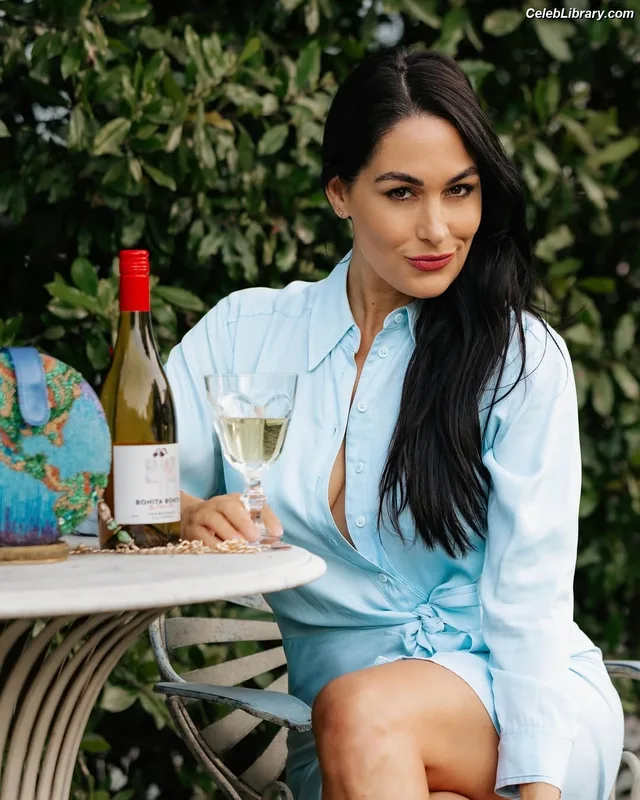 The Bella Twins photo 23 of 1421