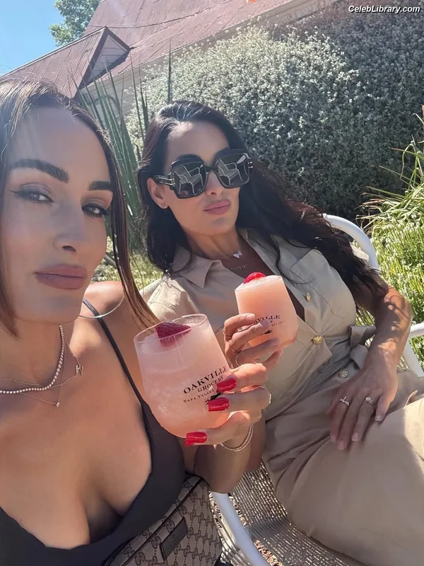 The Bella Twins photo 3 of 1421