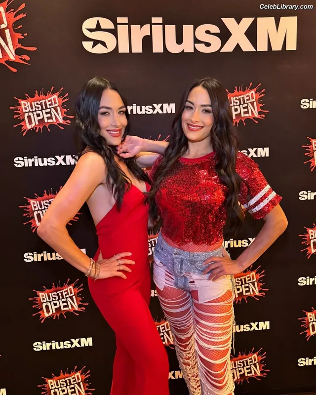 The Bella Twins photo 10 of 1421