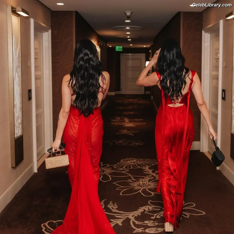 The Bella Twins photo 12 of 1421