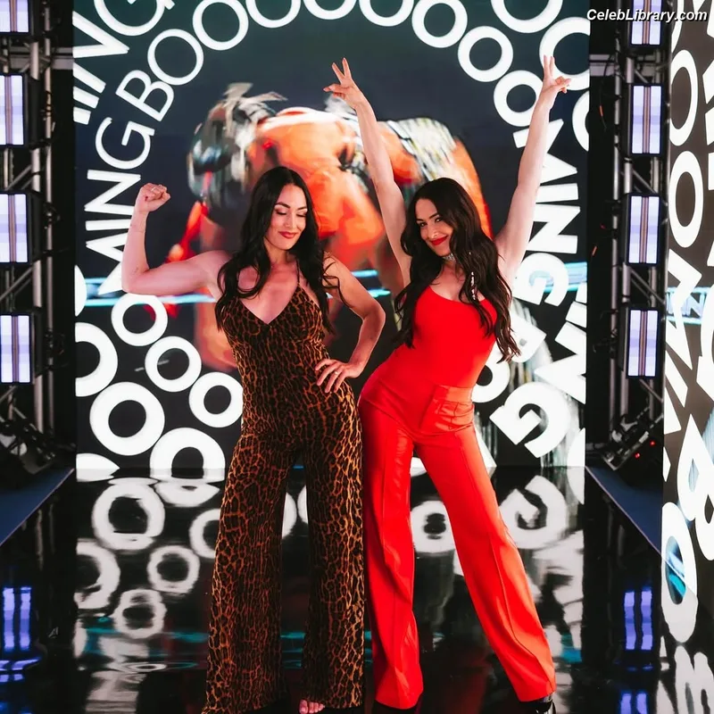 The Bella Twins photo 19 of 1421