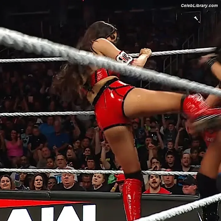The Bella Twins photo 9 of 1421