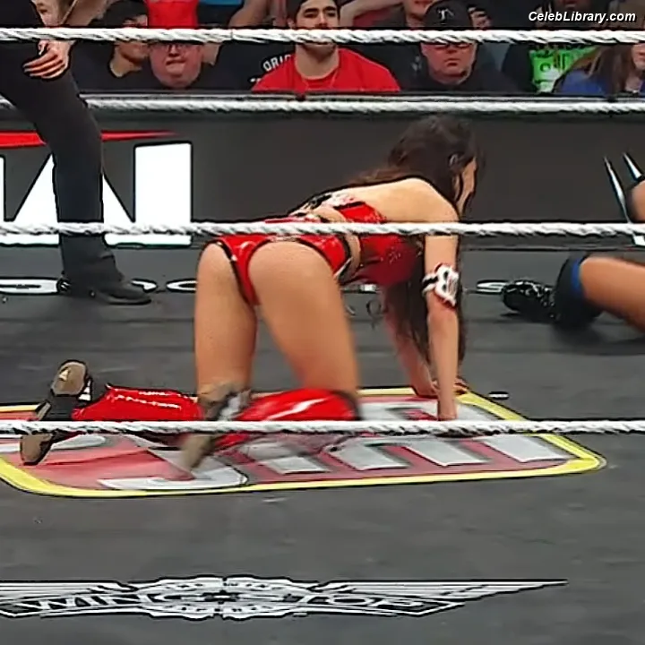 The Bella Twins photo 7 of 1421