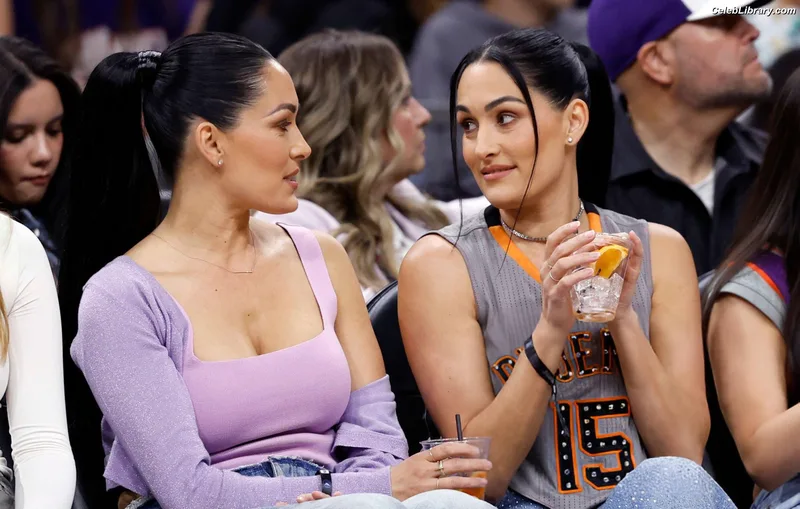 The Bella Twins photo 14 of 1421