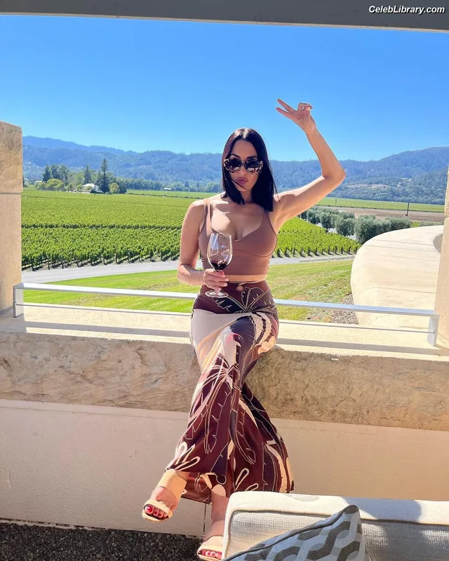 The Bella Twins photo 15 of 1421