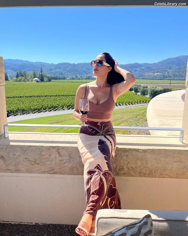 The Bella Twins photo 17 of 1421