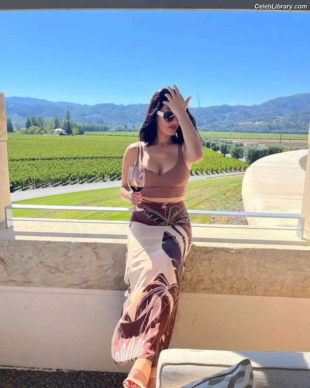 The Bella Twins photo 18 of 1421