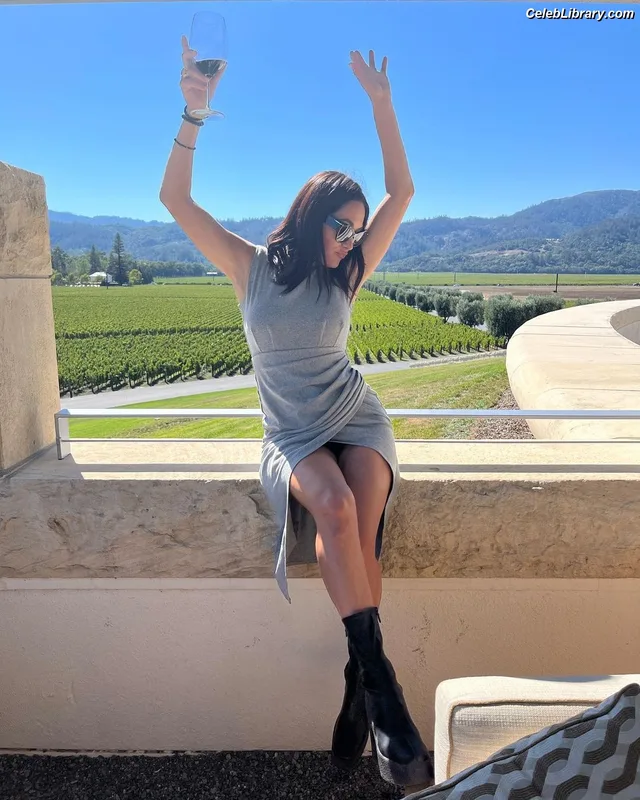 The Bella Twins photo 20 of 1421