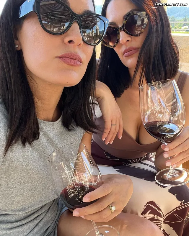 The Bella Twins photo 21 of 1421