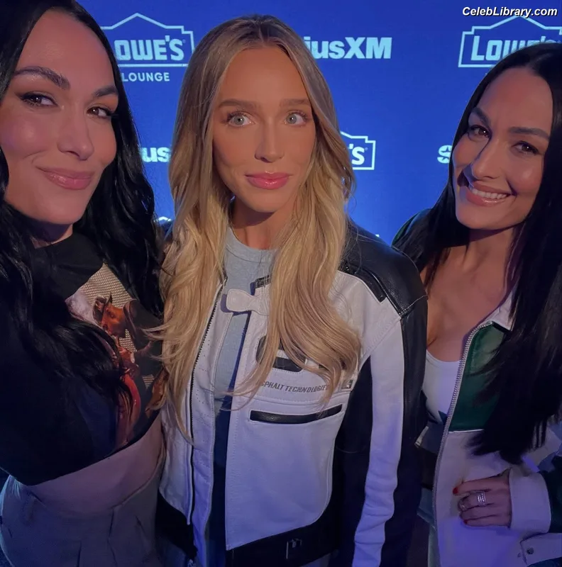 The Bella Twins photo 2 of 1421
