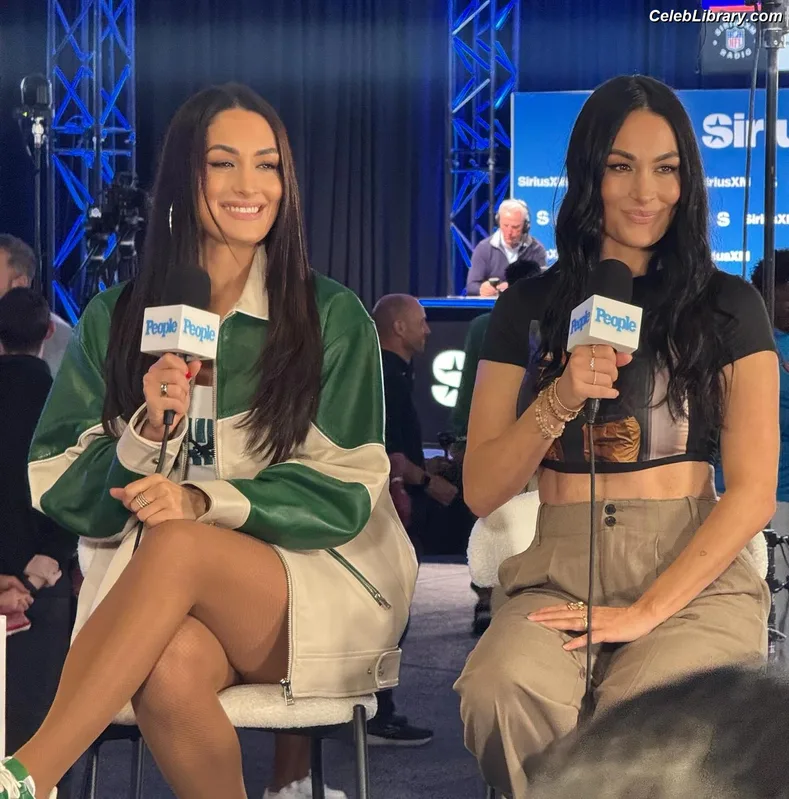 The Bella Twins photo 8 of 1421