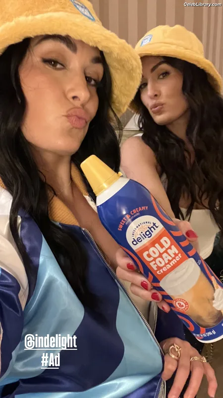 The Bella Twins photo 13 of 1421