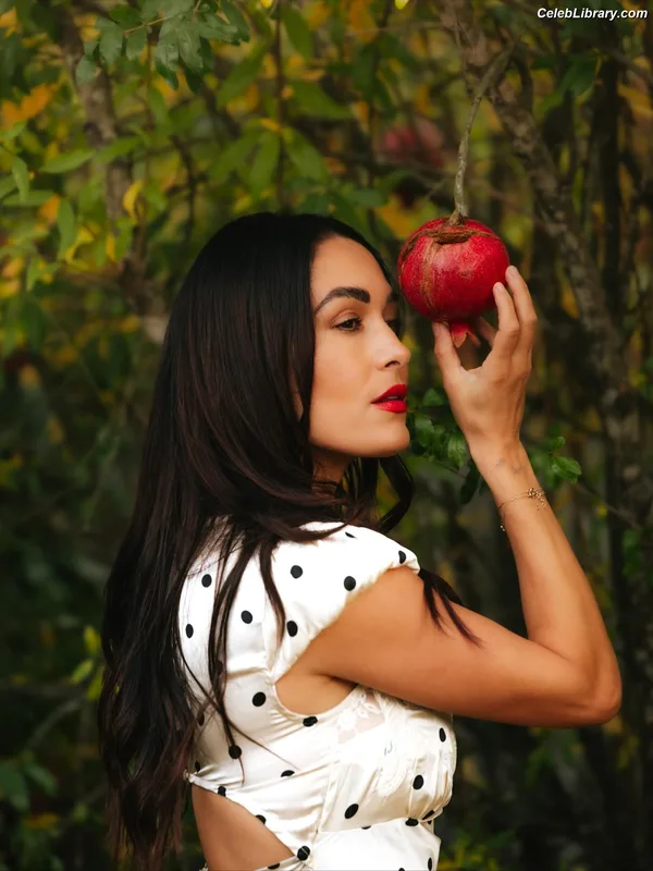 The Bella Twins photo 22 of 1421