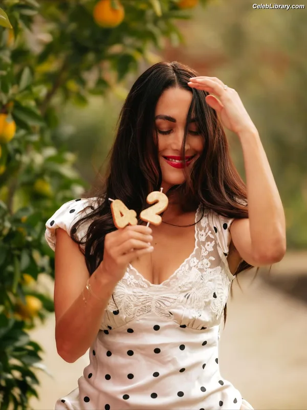 The Bella Twins photo 23 of 1421