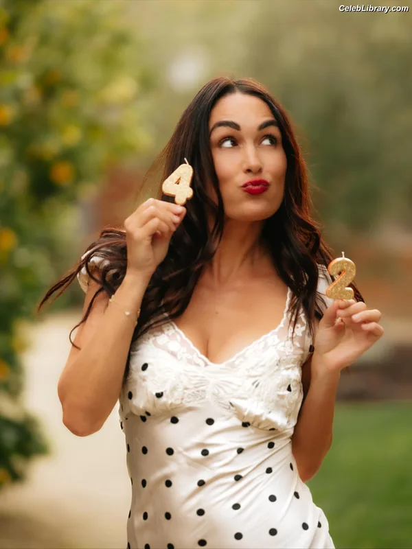 The Bella Twins photo 1 of 1421