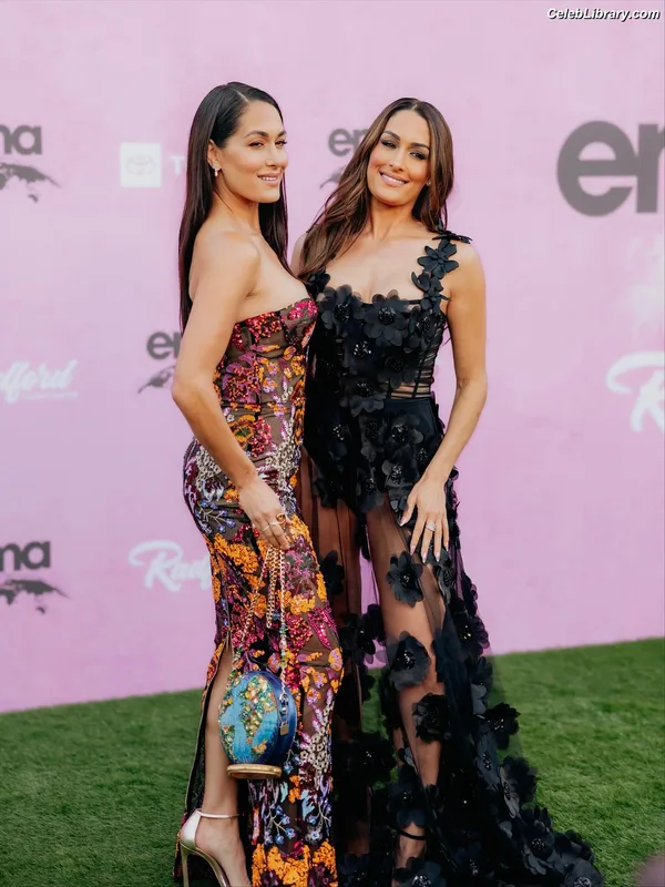 The Bella Twins photo 4 of 1421