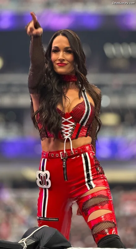 The Bella Twins photo 13 of 1421