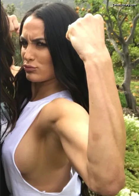 The Bella Twins photo 18 of 1421