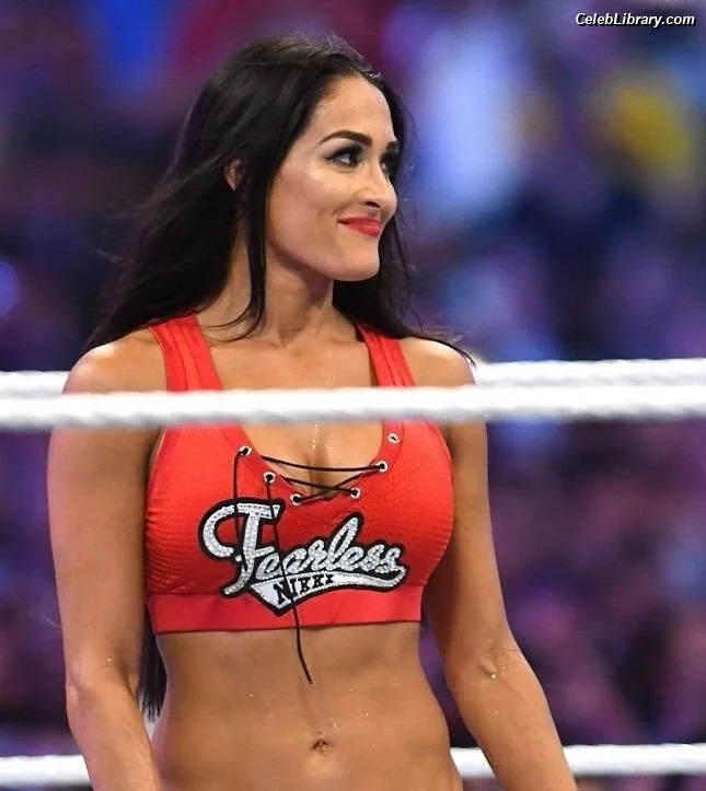 The Bella Twins photo 16 of 1421