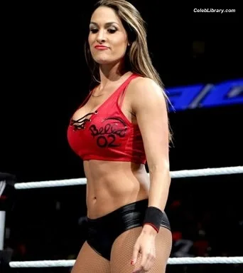 The Bella Twins photo 4 of 1421