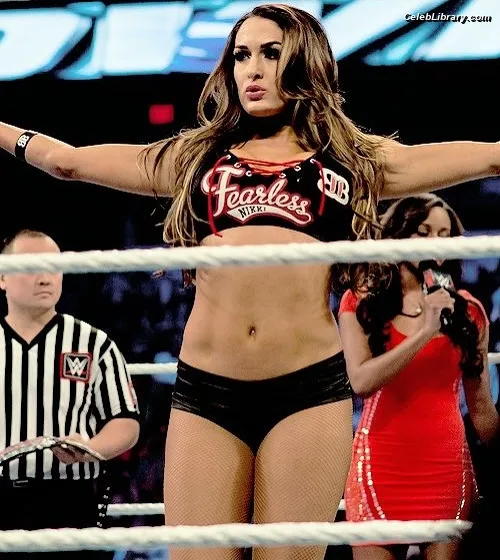 The Bella Twins photo 18 of 1421