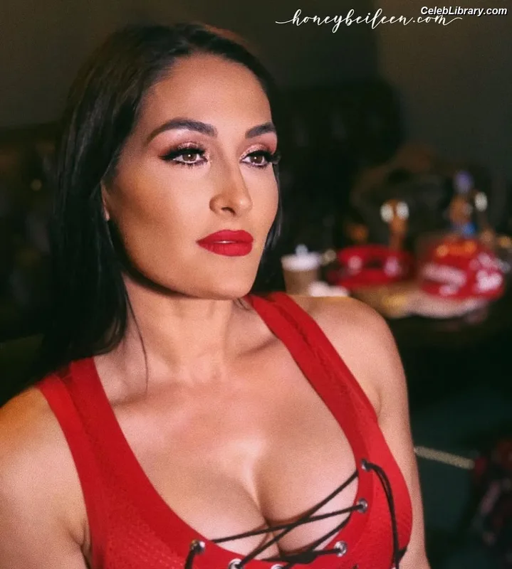 The Bella Twins photo 21 of 1421