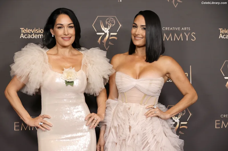 The Bella Twins photo 8 of 1421