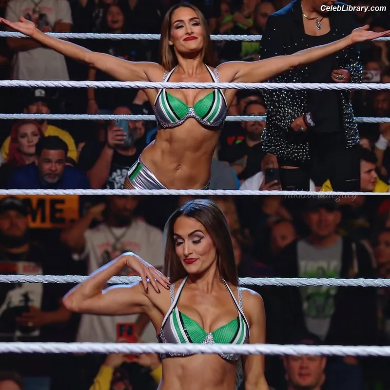 The Bella Twins photo 18 of 1421