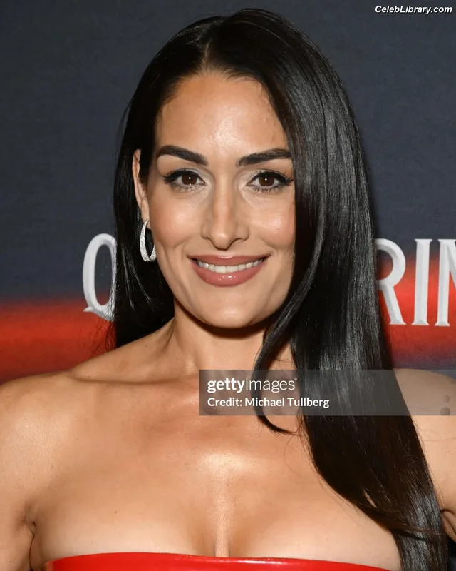 The Bella Twins photo 2 of 1421