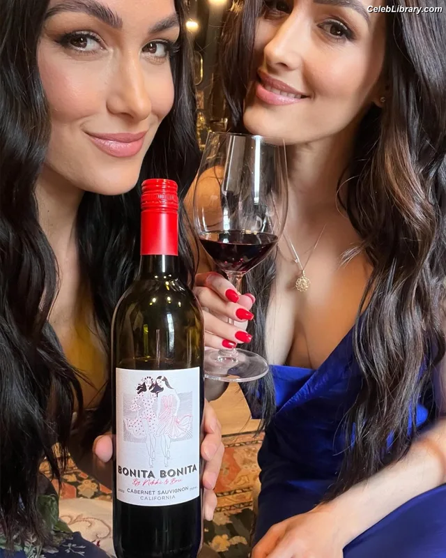 The Bella Twins photo 7 of 1421