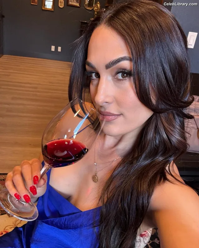 The Bella Twins photo 8 of 1421