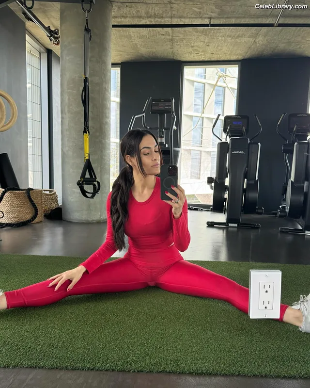 The Bella Twins photo 5 of 1421
