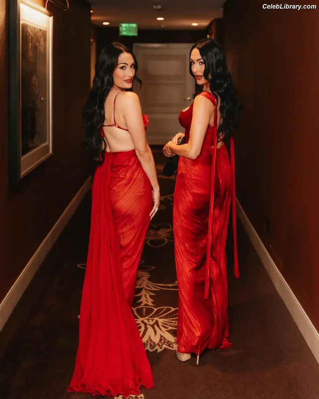 The Bella Twins photo 9 of 1421