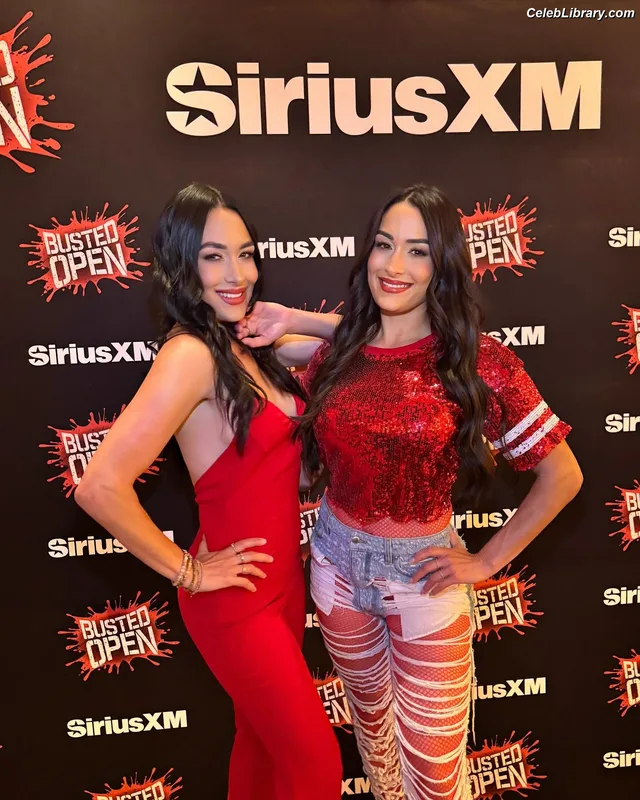 The Bella Twins photo 11 of 1421