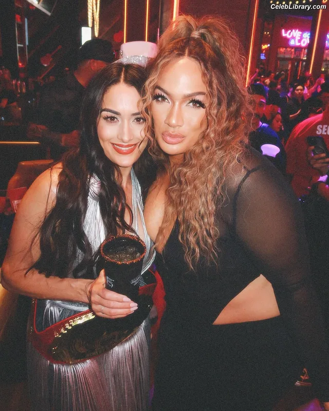 The Bella Twins photo 23 of 1421