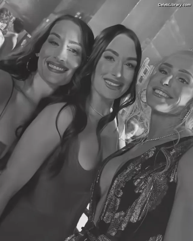 The Bella Twins photo 1 of 1421