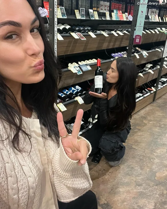 The Bella Twins photo 7 of 1421
