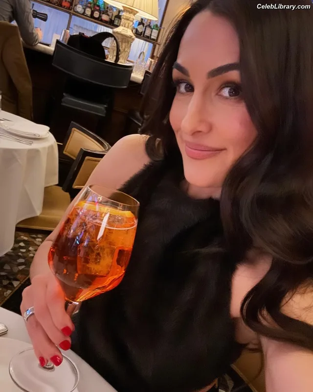 The Bella Twins photo 21 of 1421