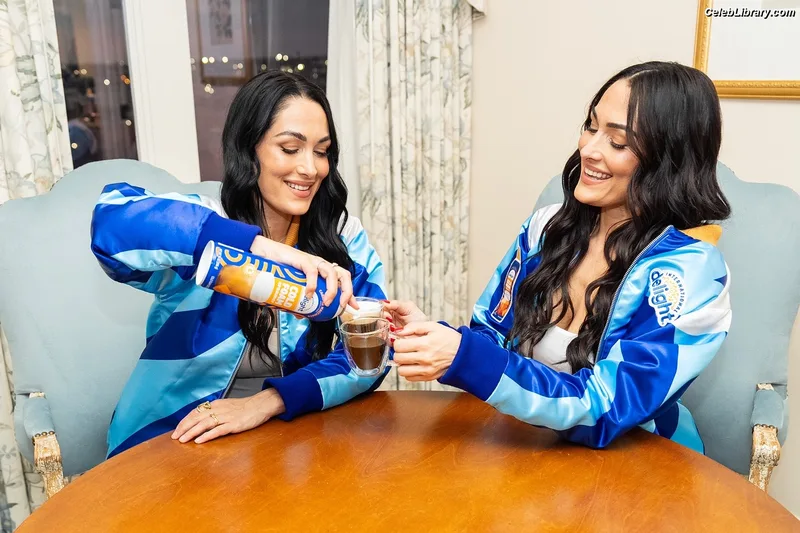 The Bella Twins photo 12 of 1421