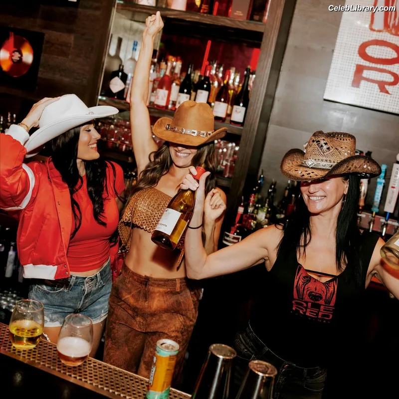 The Bella Twins photo 6 of 1421